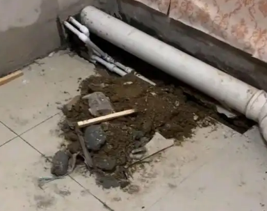 巴中市卫生间漏水检测哪家好