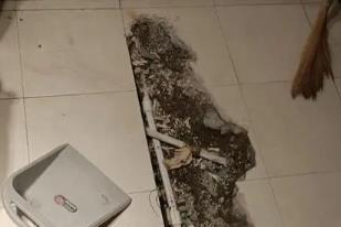 巴中市卫生间漏水检测电话
